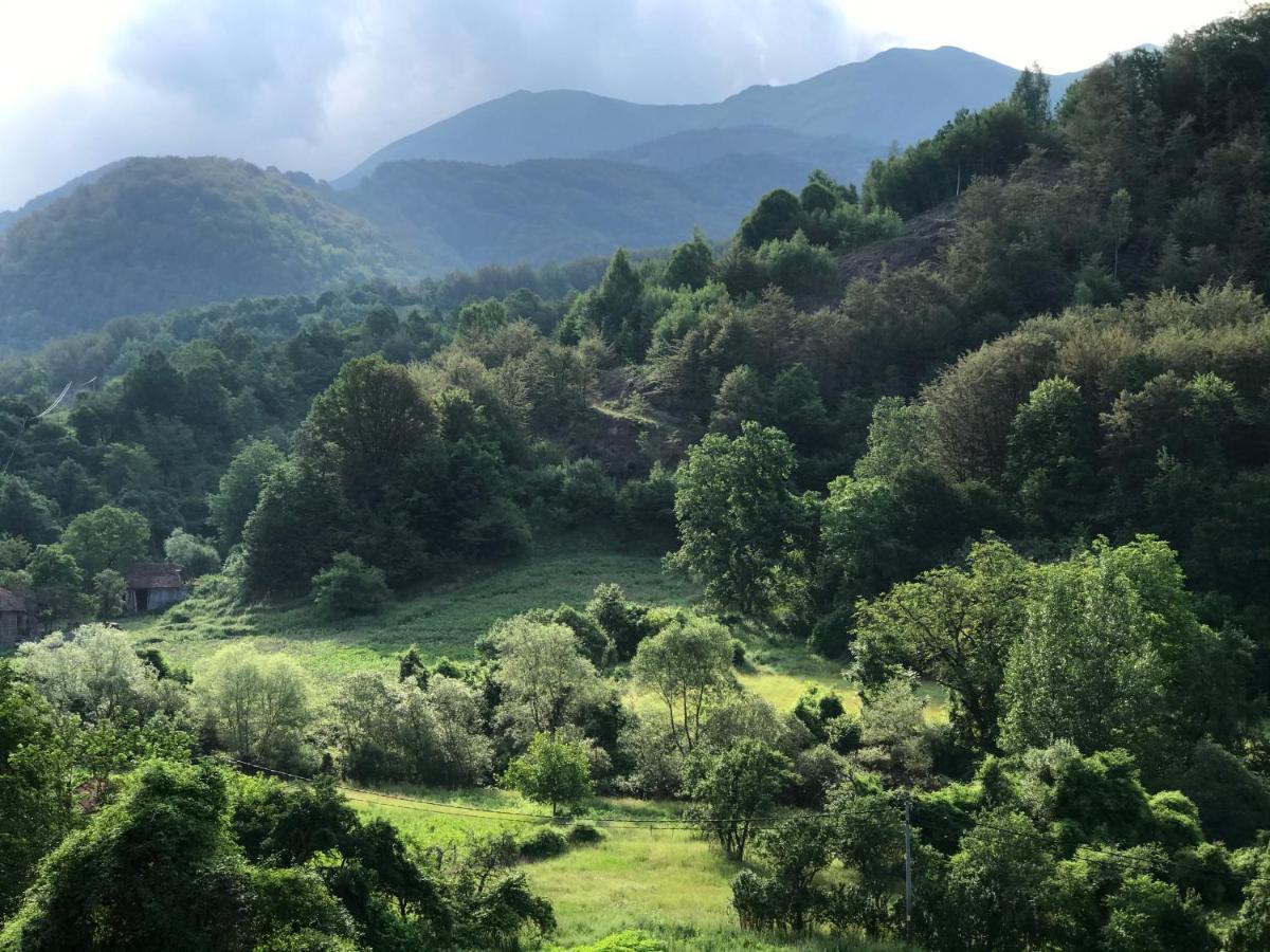Aphrodite Hills Apartments-Stara Planina Crni Vrh エクステリア 写真