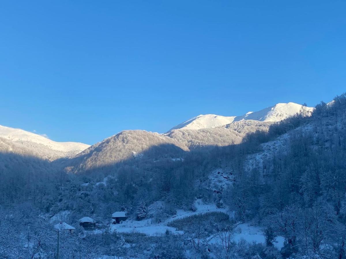 Aphrodite Hills Apartments-Stara Planina Crni Vrh エクステリア 写真