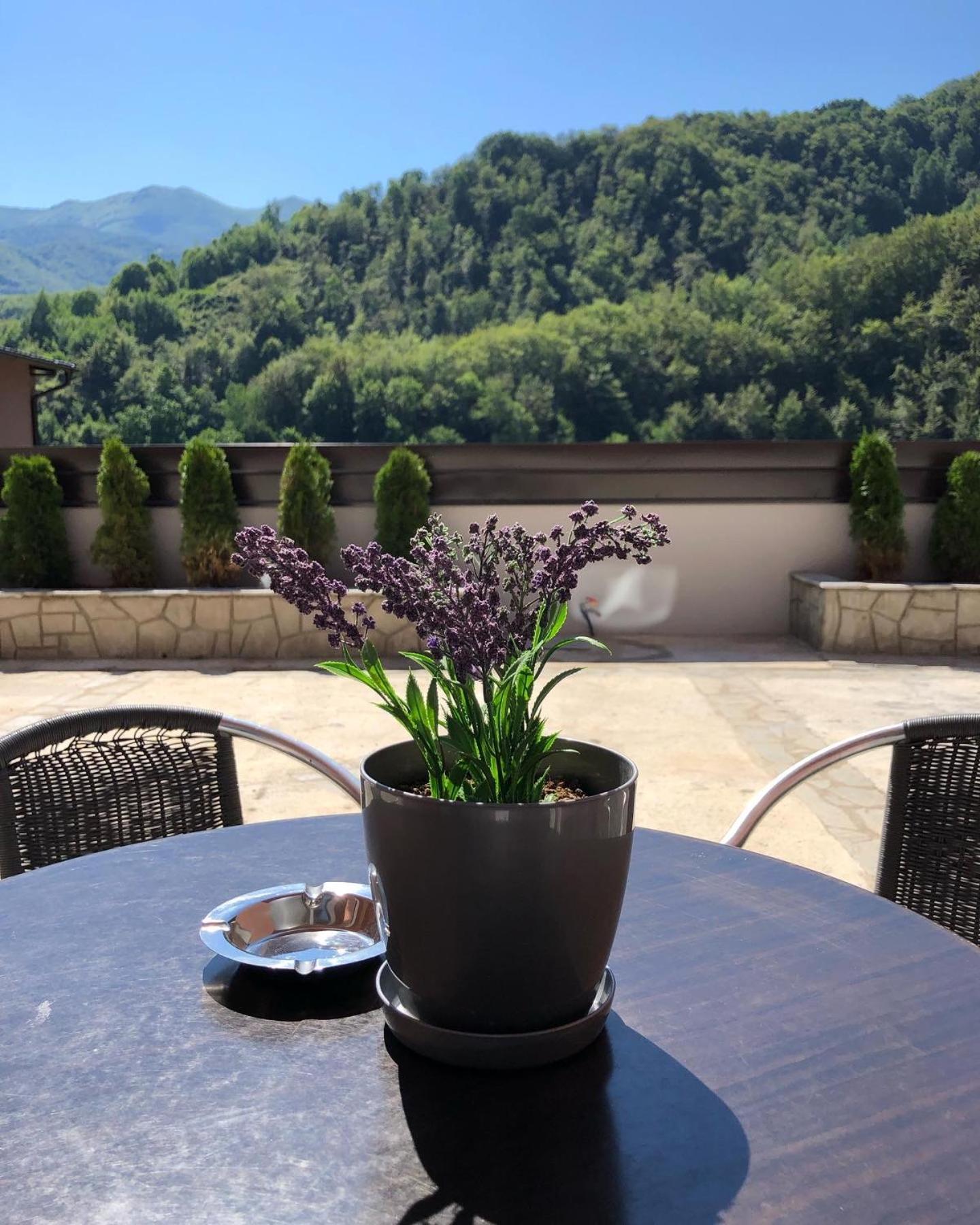 Aphrodite Hills Apartments-Stara Planina Crni Vrh エクステリア 写真