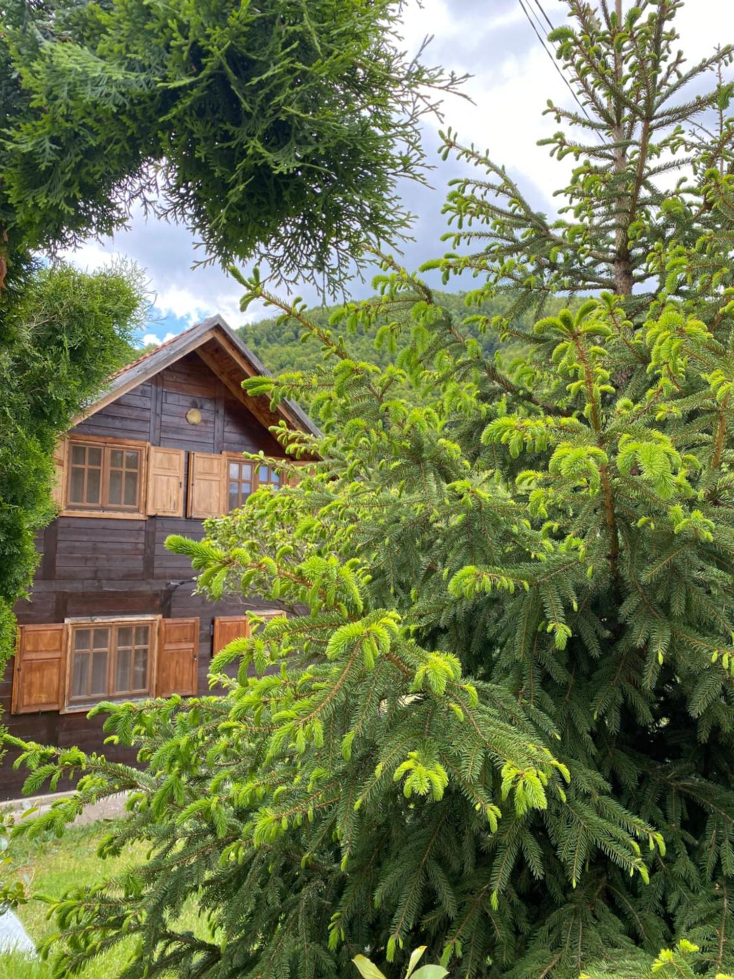 Aphrodite Hills Apartments-Stara Planina Crni Vrh エクステリア 写真