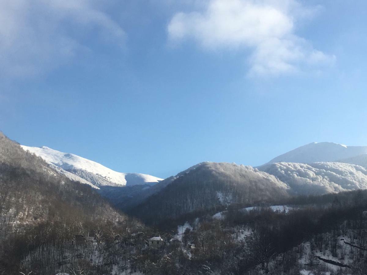 Aphrodite Hills Apartments-Stara Planina Crni Vrh エクステリア 写真